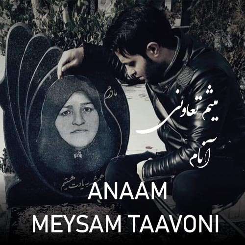 میثم تعاونی آنام